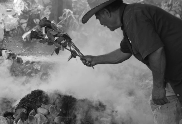 Mezcal Ramo de Rosas Cuixe 16 años 700ml