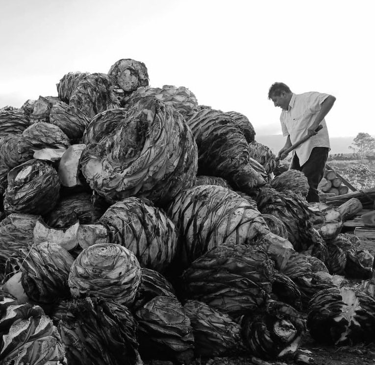 Mezcal Ramo de Rosas Tobalá Capón 700ml