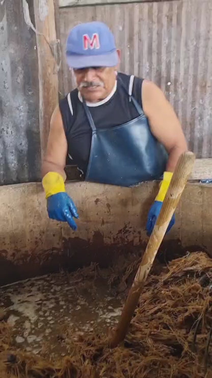 Mezcal Ramo de Rosas Cuixe 16 years 700ml